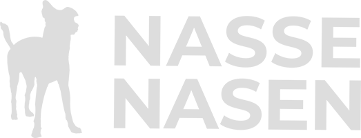 Nasse Nasen | Die Hundeschule