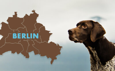 Die schönsten Auslaufgebiete