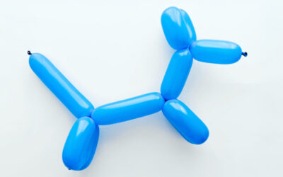 Sind Welpengruppen sinnvoll?