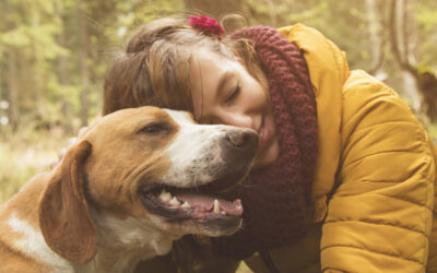 Welcher Hund passt zu mir?