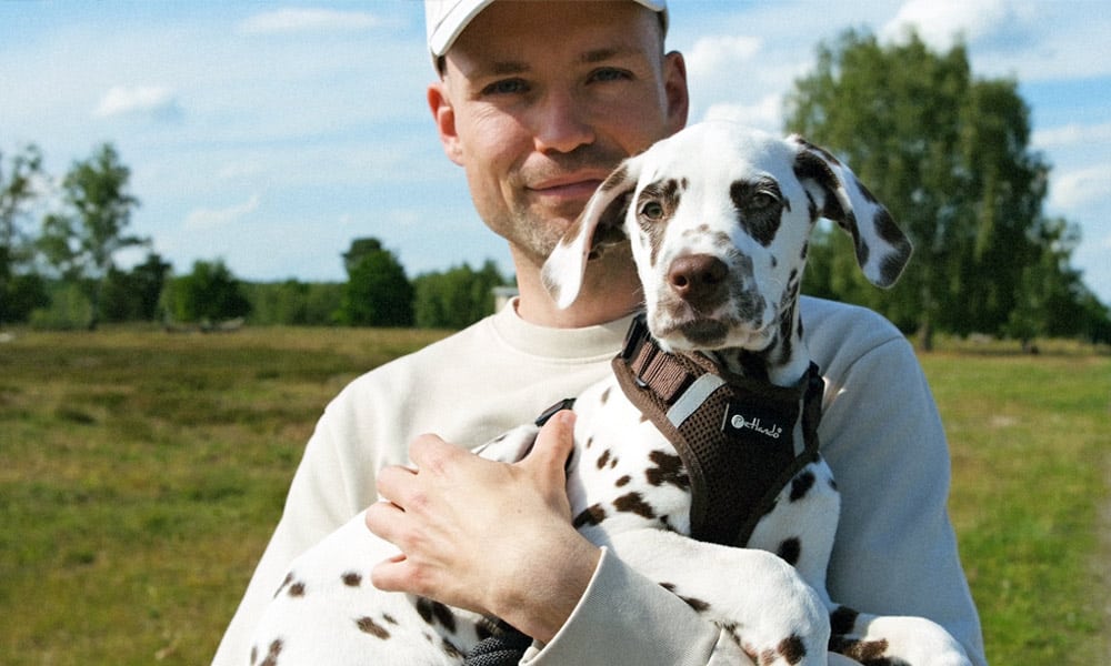 hund allein bleiben lernen